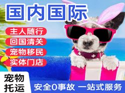 朝阳川机场物流国际宠物托运 【国